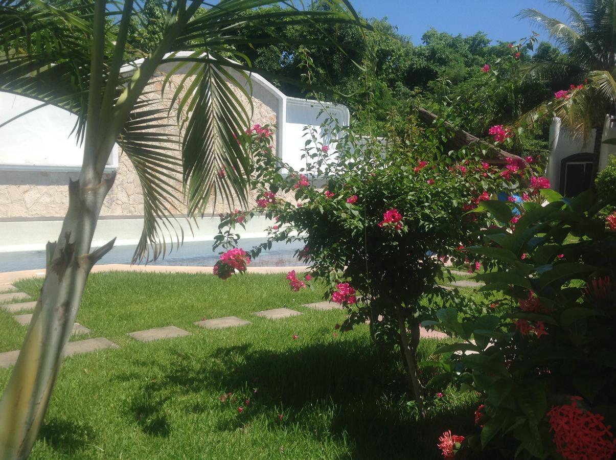 Casa Pili Bed & Breakfast Playa del Carmen Exterior photo
